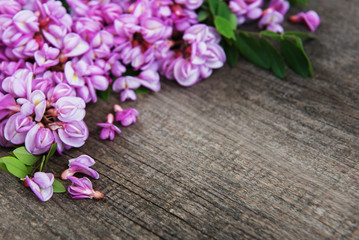 Obraz na płótnie Canvas Spring acacia flowers