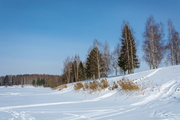 A small snow slope and trees against a blue sky.