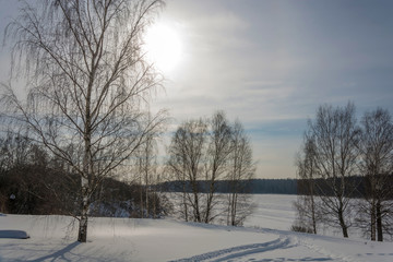 Winter landscape in the contra light.