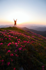 Hiker woman standing with hands up achieving the top. Girl welcomes a sun. Successful woman hiker open arms on sunrise mountain top. Magic pink rhododendron flowers on summer mountains - 210272684