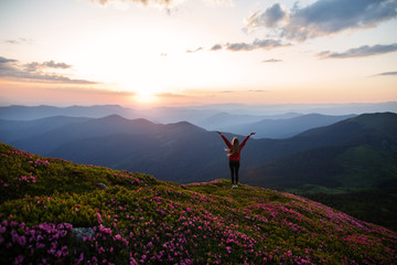 Hiker woman standing with hands up achieving the top. Girl welcomes a sun. Successful woman hiker open arms on sunrise mountain top. Magic pink rhododendron flowers on summer mountains - 210273036