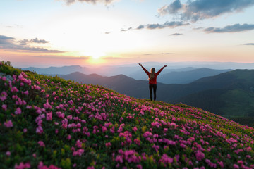Hiker woman standing with hands up achieving the top. Girl welcomes a sun. Successful woman hiker open arms on sunrise mountain top. Magic pink rhododendron flowers on summer mountains - 210273042