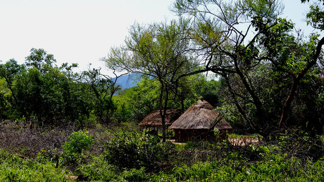 Landscape of the Village of Hamar tribe, Turmi , Ethiopia