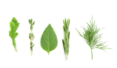 Different fresh herbs on white background