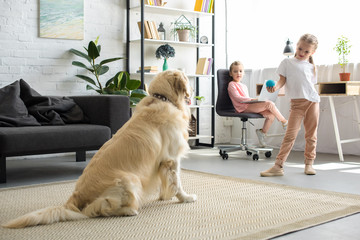 selective focus of little child playing with golden retriever dog at home