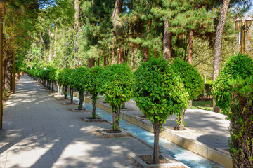 Eram Garden in Shiraz. Iran