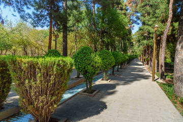 Eram Garden in Shiraz. Iran