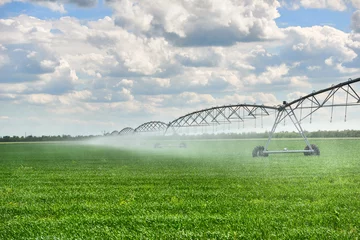 Photo sur Plexiglas Campagne machine d& 39 irrigation arrosant le champ agricole avec de jeunes pousses, des plantes vertes sur un sol noir et un beau ciel