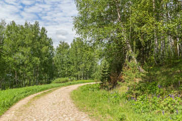 Cobbled road in the forest