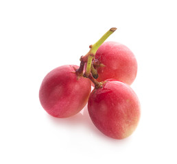 Carissa carandas fruit on white background.