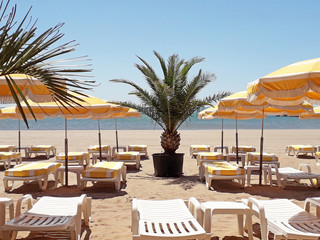 Sunny Beach with palm tree and Sun beds