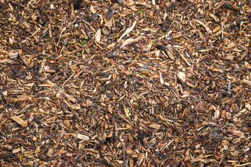 Image filled with wood chips and twigs