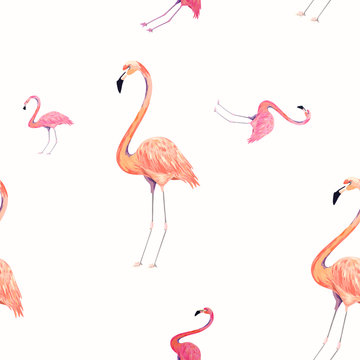 Seamless pattern with exotic flamingo. Summer decoration print for wrapping, wallpaper, fabric. Vector illustration.