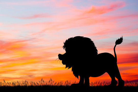 illustration of lion at sunset