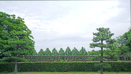 Green plants, trees and wooden fence in Japan public park