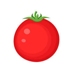 Colorful red tomato vegetable vector illustration isolated on wh