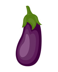 Colorful eggplant vector illustration isolated on white backgrou