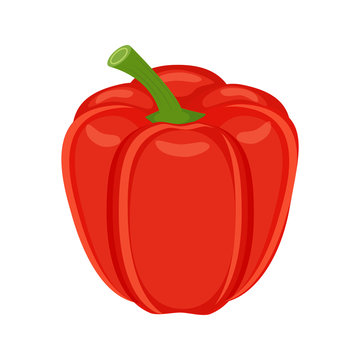 Colorful Red Bell Pepper Vegetable Vector Illustration Isolated 