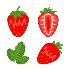 Set of red strawberry berryes whole, half and leaf vector illust