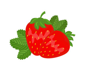 Colorful  red strawberry with green leaf vector illustration iso