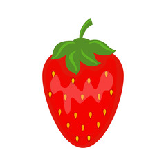 Colorful juicy red strawberry vector illustration isolated on wh