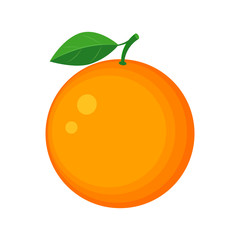 Colorful juicy orange fruit vector illustration isolated on whit