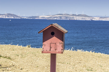 Front close shot of colorful bird house near coastline at summertime