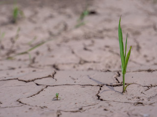 Klimawandel auf der Welt