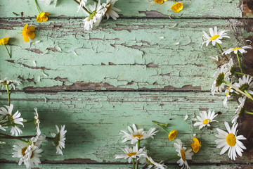 Arrière Plan Marguerite sur fond Bois Bleu