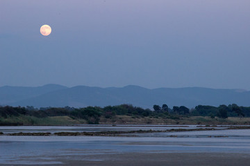 Tarquinia salt pans