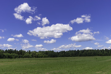 Fototapeta na wymiar Rustic summer landscape. Fields and beautiful white clouds on a blue sky