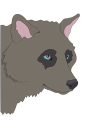 dog portrait profile, look down