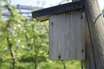 Wooden birdhouse in the foreground of an apple orchard