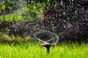 Naklejka premium Rotating garden sprinkler watering grass
