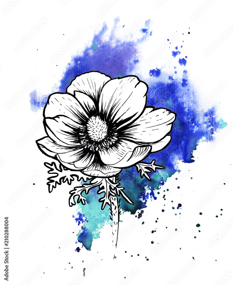 Wall mural a bright blue formless watercolor blot. ink poppy flower line graphic sketch