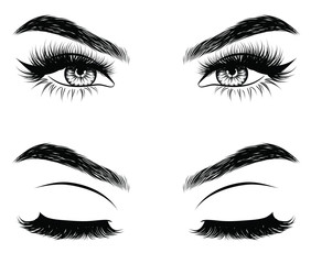 Hand-drawn woman's sexy makeup look with perfectly perfectly shaped eyebrows and extra full lashes. Idea for business visit card, typography vector. Perfect salon look