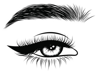 Hand-drawn woman's sexy makeup look with perfectly perfectly shaped eyebrows and extra full lashes. Idea for business visit card, typography vector. Perfect salon look
