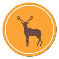 Silhouette of the deer