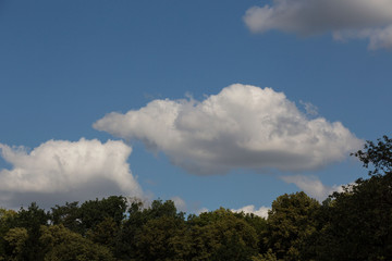 Sommerliche Cumuluswolken türmen sich über einem Waldstück.