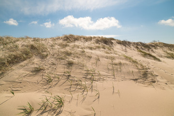 View of the dunes in Nida, Neringa, Lithuania. A popular destination in Europe in Lithuania. The huge dunes covering the end of the Curonian Spit are included in the UNESCO world heritage