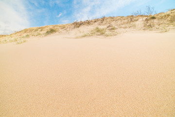 View of the dunes in Nida, Neringa, Lithuania. A popular destination in Europe in Lithuania. The huge dunes covering the end of the Curonian Spit are included in the UNESCO world heritage