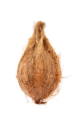 Coconut close-up isolated on a white background.