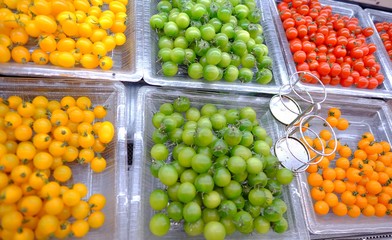 Different color of fresh tomato flat lay with orange, green, yellow, red 