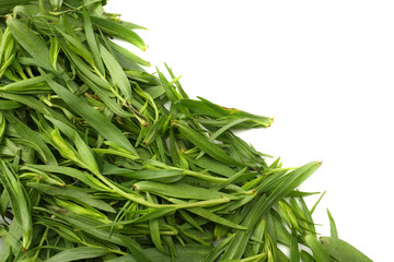 Tarragon leaves ( Artemisia dracunculus ) isolated on white background