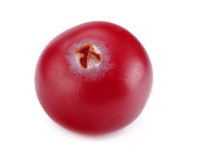 One cranberry isolated on white background. macro