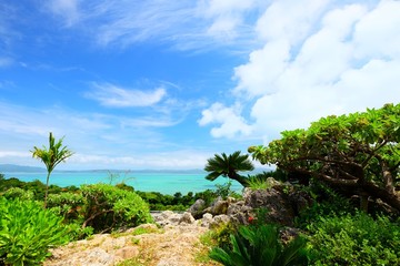 Fototapeta na wymiar Beautiful sunny day blue sky and white cloud view and clear water in Japan Okinawa