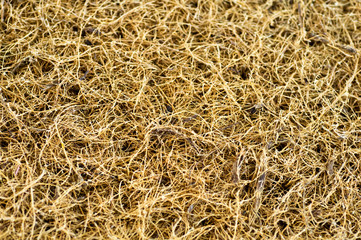Mattress with coconut fiber. Coconut coir. Grated coconut shell for the production of mattresses. texture, natural background.