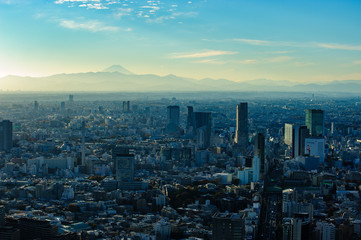 都市と富士山