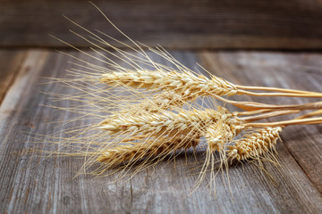 Ripe wheat ears on a wooden background