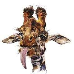 Funny giraffe watercolor hand drawn illustration.